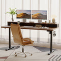 ApexRise - 48" Electric Standing Desk with Drawers & Monitor Shelf