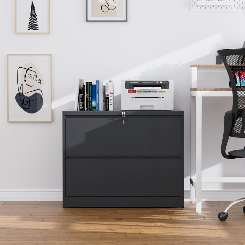 Ahanu - 2-Drawer Steel Locking Lateral File Cabinet for Office