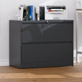 Ahanu - 2-Drawer Steel Locking Lateral File Cabinet for Office